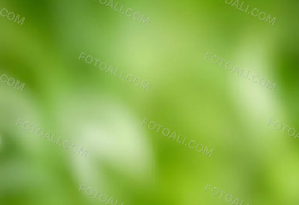 Abstract Background With Shades Of Green And White Creating A Soft Blurred Effect Reminiscent Of Foliage Or Natural Textures With A Focus On Light And Color Gradients 5 737d