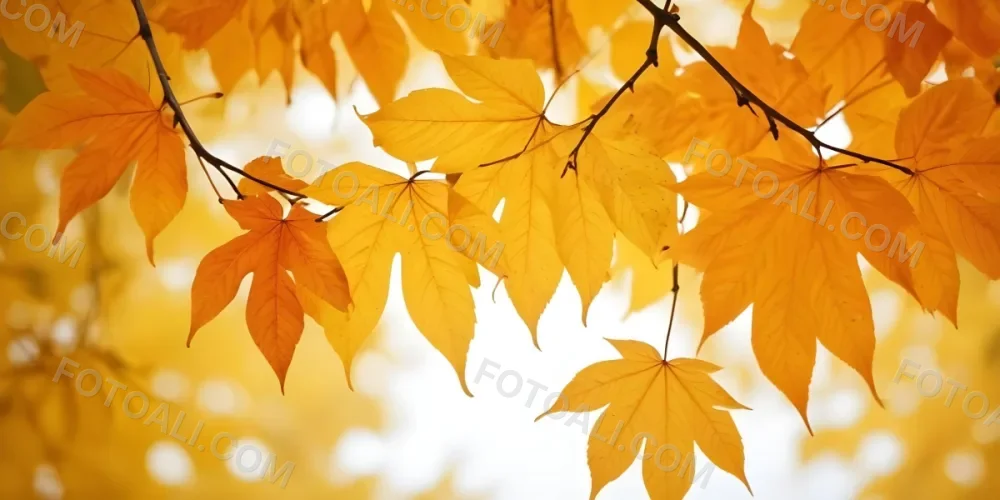 Autumn Leaves On A Branch With Warm Orange And Yellow Colors 13 5068