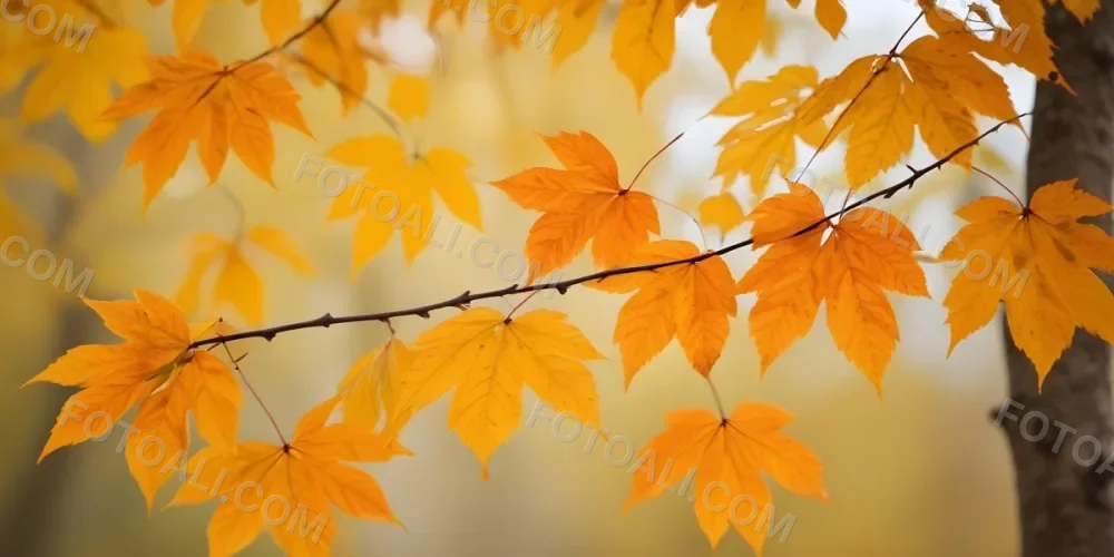 Autumn Leaves On A Branch With Warm Orange And Yellow Colors 3 0d0e
