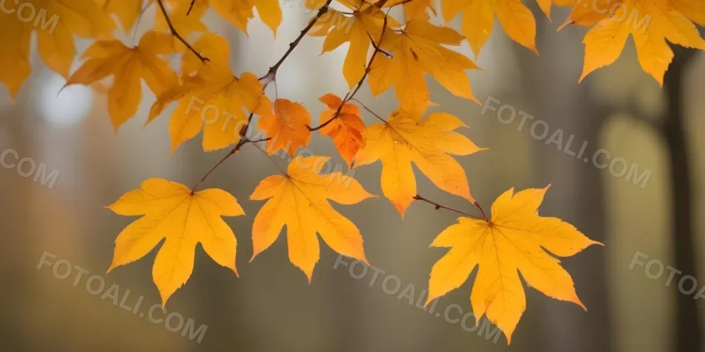 Autumn Leaves On A Branch With Warm Orange And Yellow Colors 5 A9e3