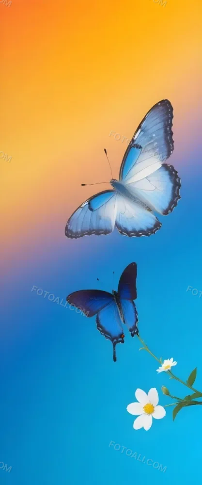 Blue Butterfly With White Flowers Against A Colorful Gradient Background 1 Cd04