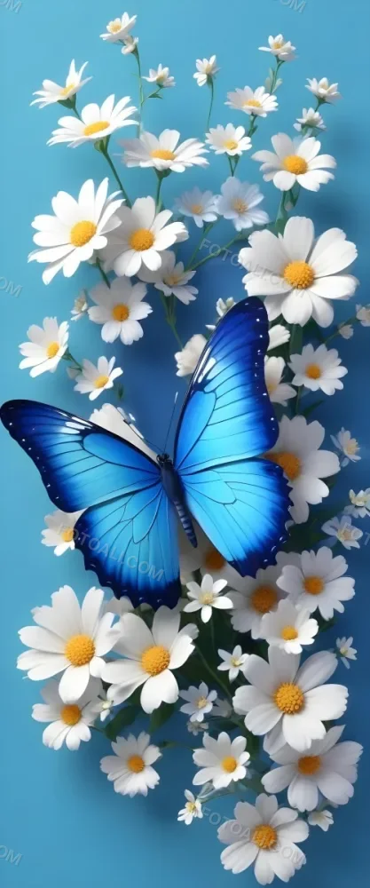 Blue Butterfly With White Flowers Against A Colorful Gradient Background 11 22fc