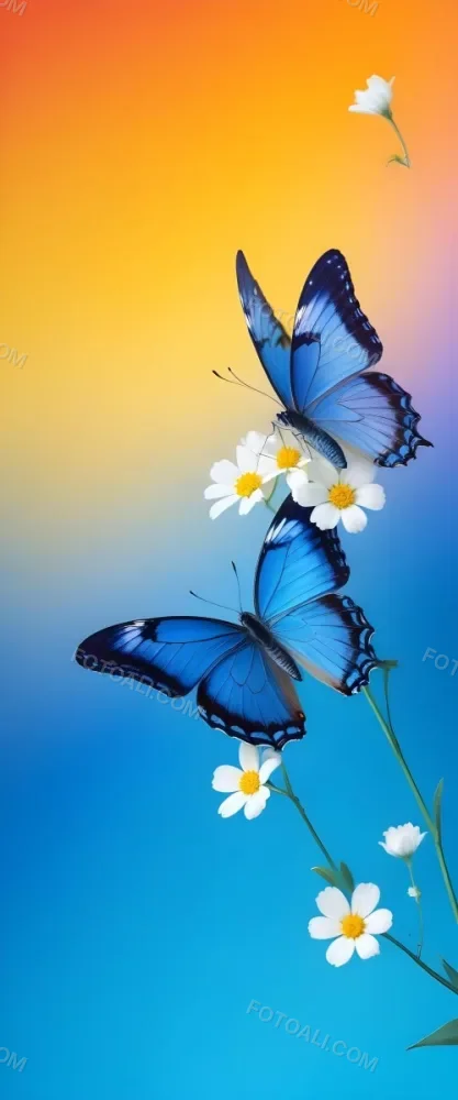 Blue Butterfly With White Flowers Against A Colorful Gradient Background 4 E807