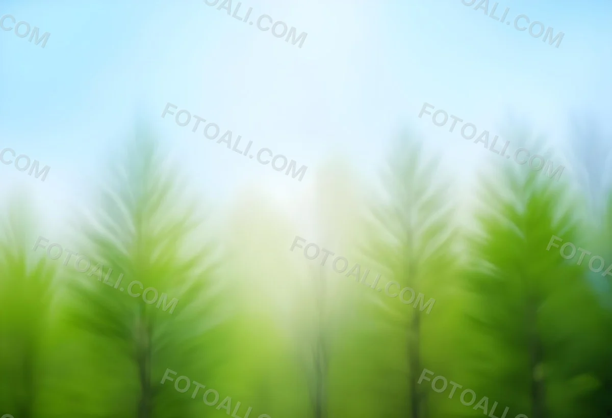 Blurred Image Of Green Trees With A Blue Sky In The Background Natural Light Natural Colors Out Of Focus Nature Photography 17 9ea3