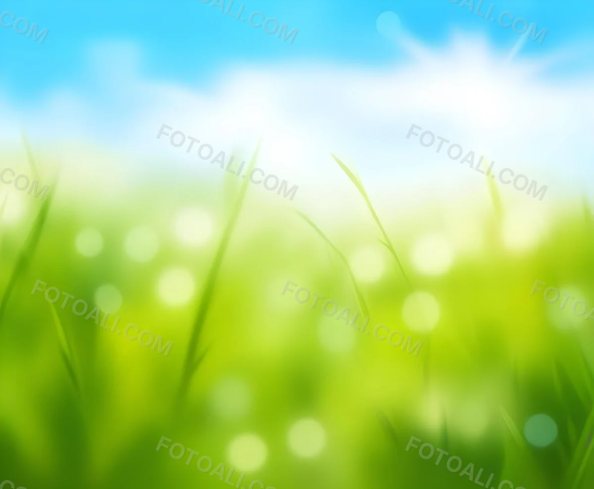 Blurred Image Of Green Trees With A Blue Sky In The Background Natural Light Natural Colors Out Of Focus Nature Photography 18 3406