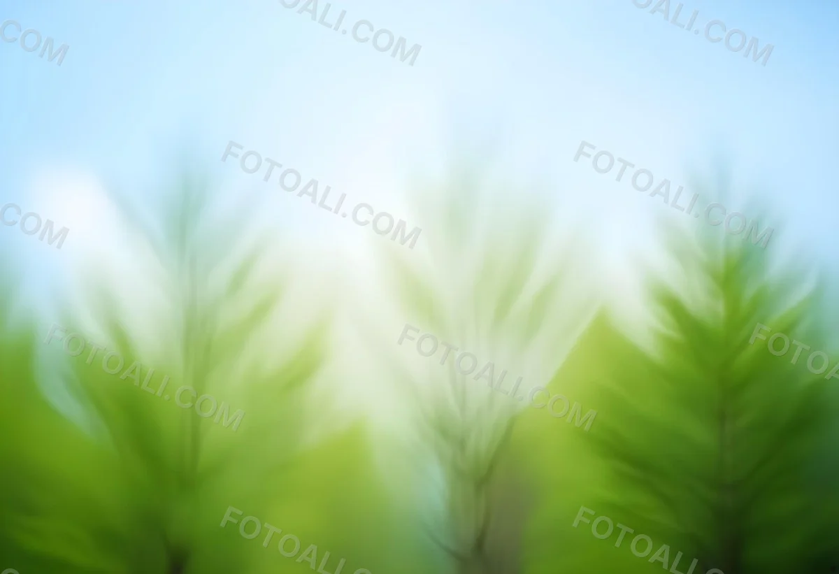Blurred Image Of Green Trees With A Blue Sky In The Background Natural Light Natural Colors Out Of Focus Nature Photography 32 6063