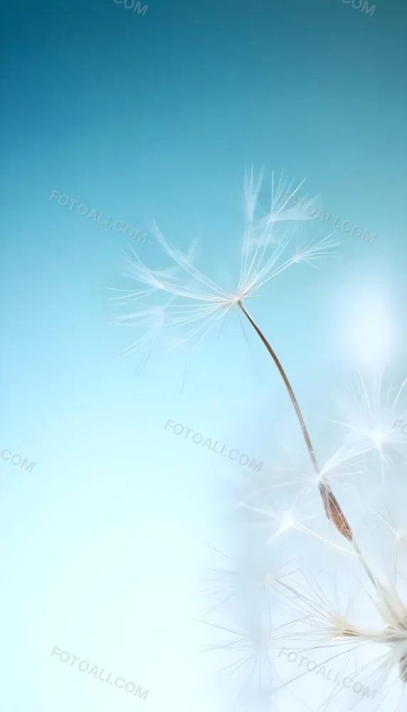 Dandelion Seed With White Filaments Attached To A Small Brown Seed Light Blue Background Soft Lighting Macro Photography Delicate And Airy Composition 4 7941