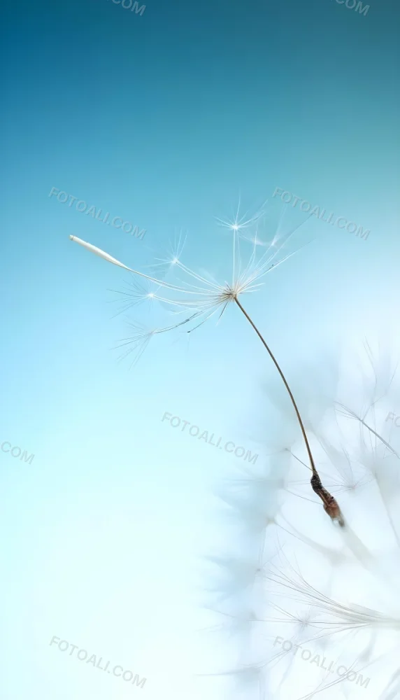 Dandelion Seed With White Filaments Attached To A Small Brown Seed Light Blue Background Soft Lighting Macro Photography Delicate And Airy Composition 6 377b
