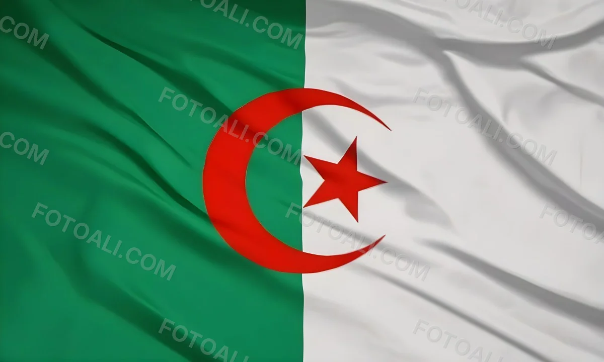 Digital Painting Flag Of Algeria Bold And Slim Lines Brush Strokes 11 Aded