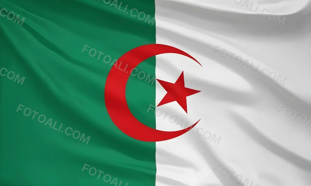Digital Painting Flag Of Algeria Bold And Slim Lines Brush Strokes 12 Fedb