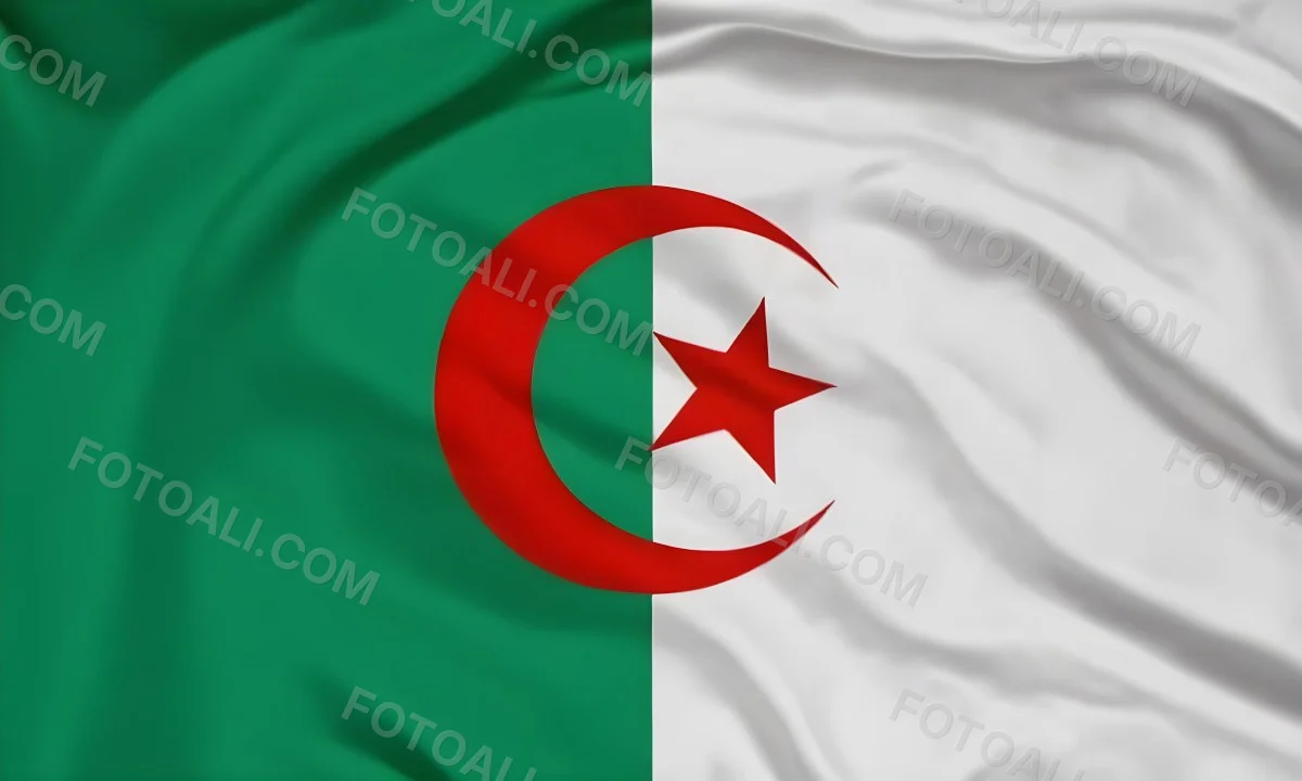 Digital Painting Flag Of Algeria Bold And Slim Lines Brush Strokes 16 146b