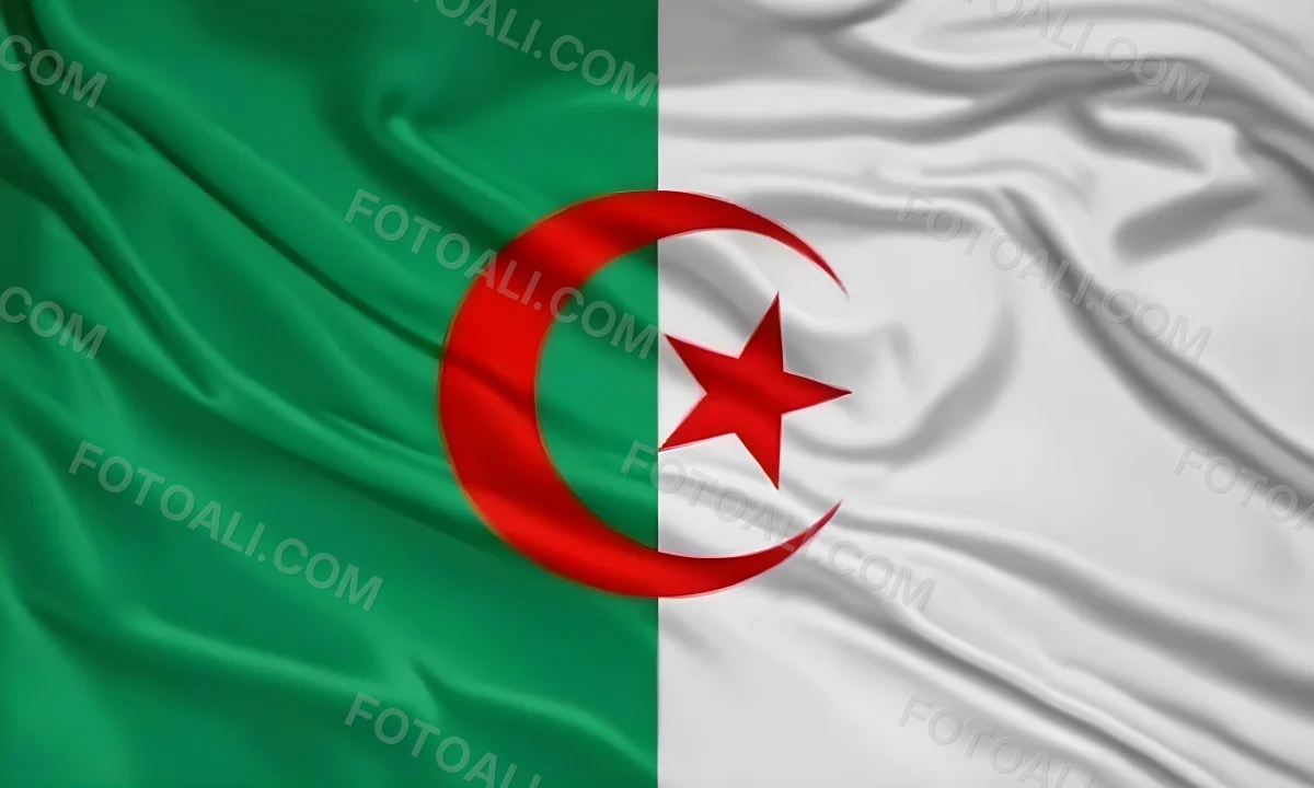 Digital Painting Flag Of Algeria Bold And Slim Lines Brush Strokes 20 Ce12