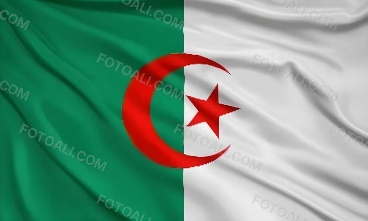 Digital Painting Flag Of Algeria Bold And Slim Lines Brush Strokes 21 2904