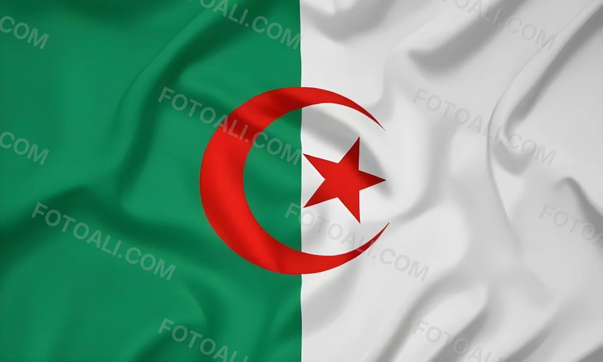 Digital Painting Flag Of Algeria Bold And Slim Lines Brush Strokes 29 1ab8