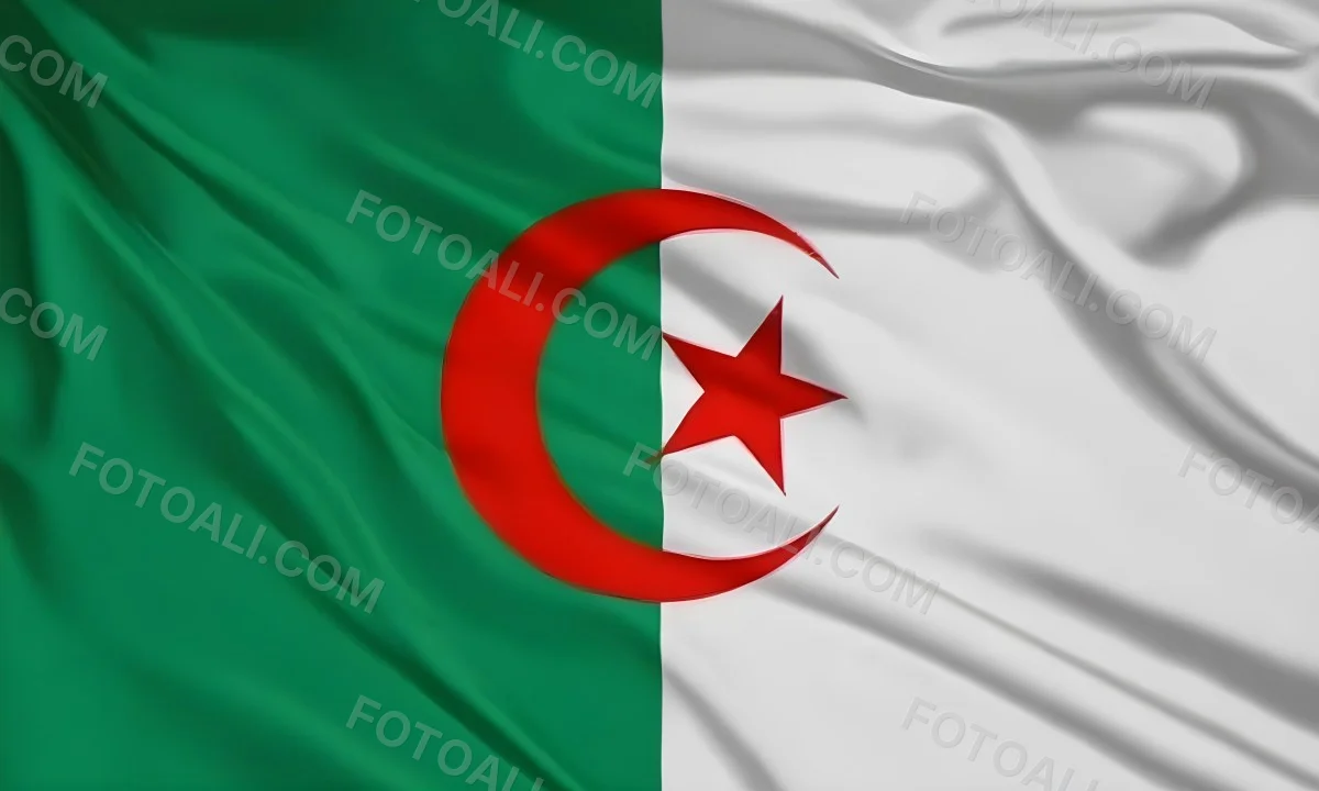 Digital Painting Flag Of Algeria Bold And Slim Lines Brush Strokes 30 Ba76