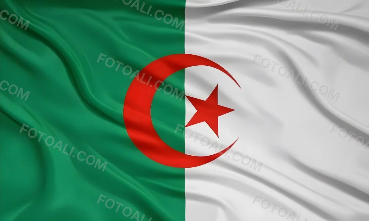 Digital Painting Flag Of Algeria Bold And Slim Lines Brush Strokes 31 1a21