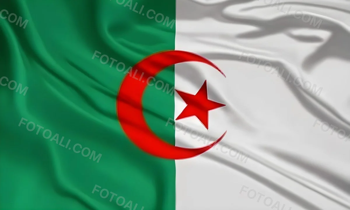 Digital Painting Flag Of Algeria Bold And Slim Lines Brush Strokes 32 A7e2