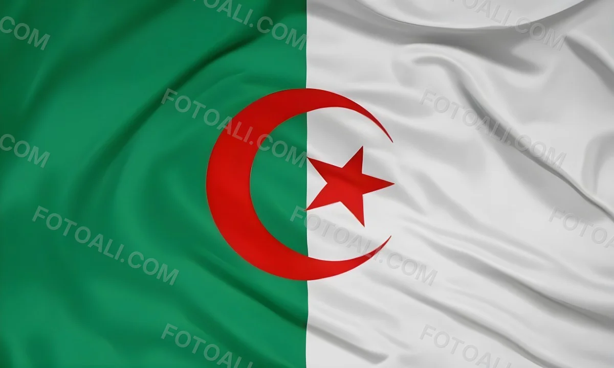 Digital Painting Flag Of Algeria Bold And Slim Lines Brush Strokes 33 7be0