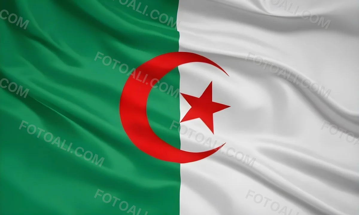 Digital Painting Flag Of Algeria Bold And Slim Lines Brush Strokes 34 50e4