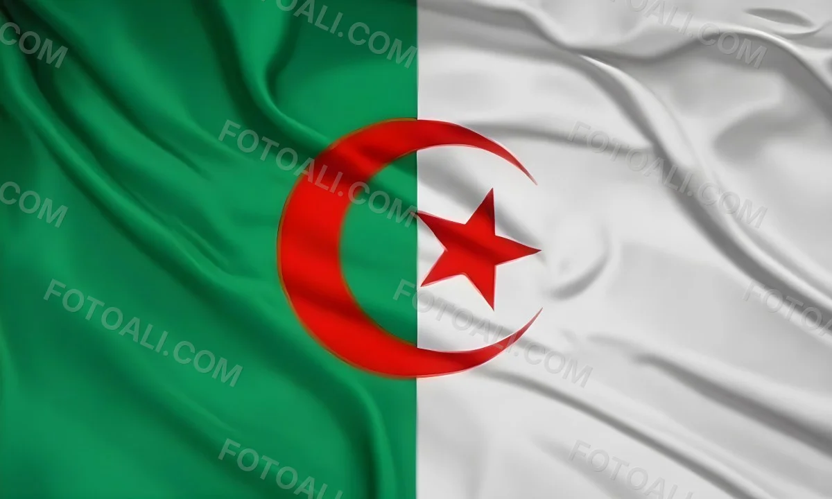 Digital Painting Flag Of Algeria Bold And Slim Lines Brush Strokes 4 6679