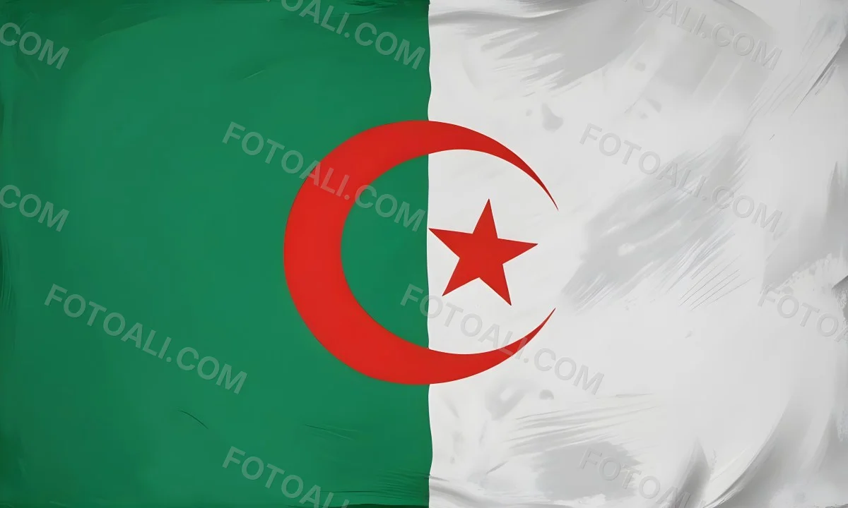 Digital Painting Flag Of Algeria Bold And Slim Lines Brush Strokes 5 9d02