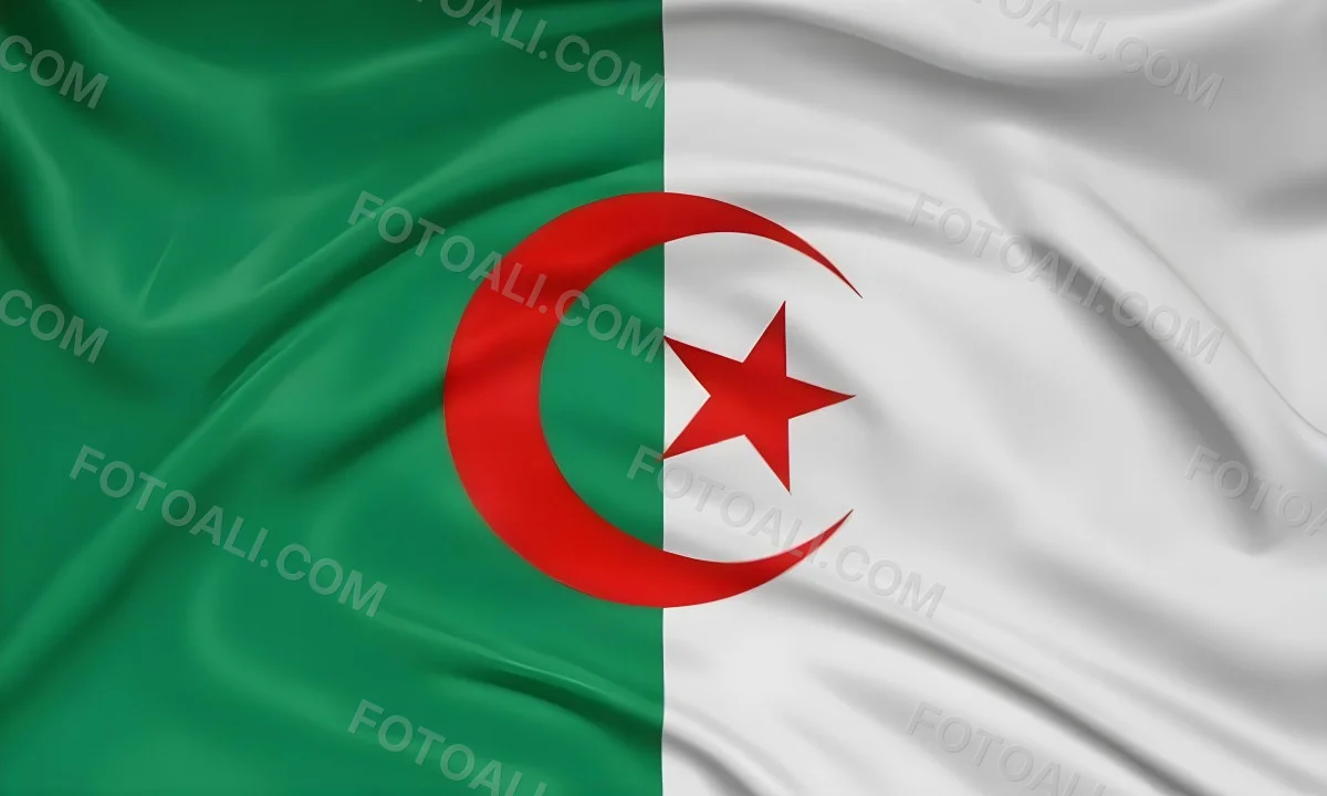 Digital Painting Flag Of Algeria Bold And Slim Lines Brush Strokes 6 Ee17