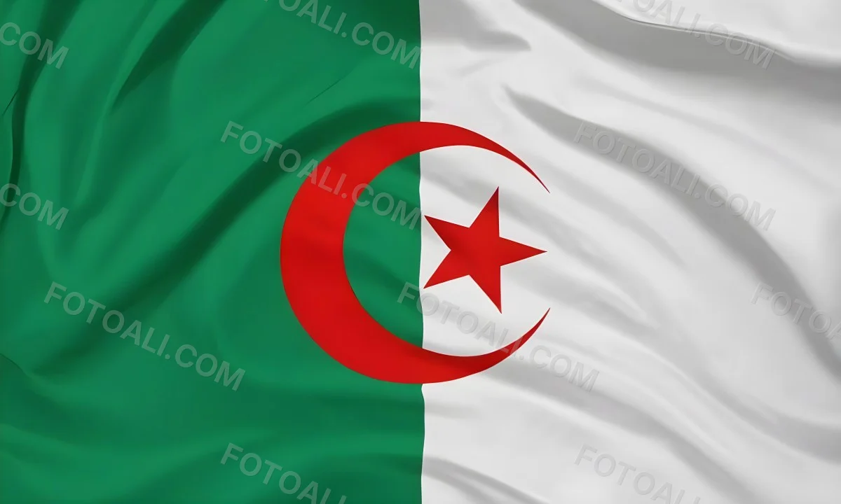Digital Painting Flag Of Algeria Bold And Slim Lines Brush Strokes 7 7ff6