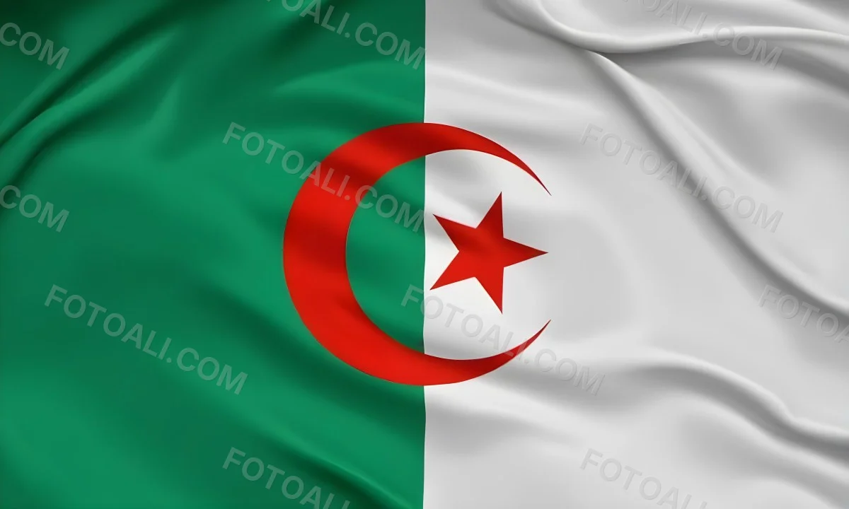 Digital Painting Flag Of Algeria Bold And Slim Lines Brush Strokes 8 6da4