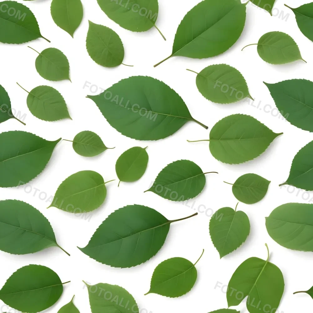 Green And Yellow Leaves Scattered Across A White Background 20 892b