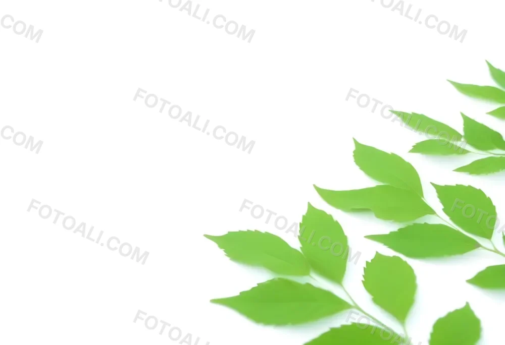 Green And Yellow Leaves Scattered Across A White Background 70 2a62