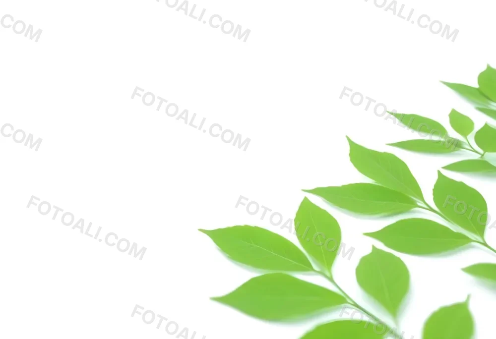 Green And Yellow Leaves Scattered Across A White Background 71 7b49