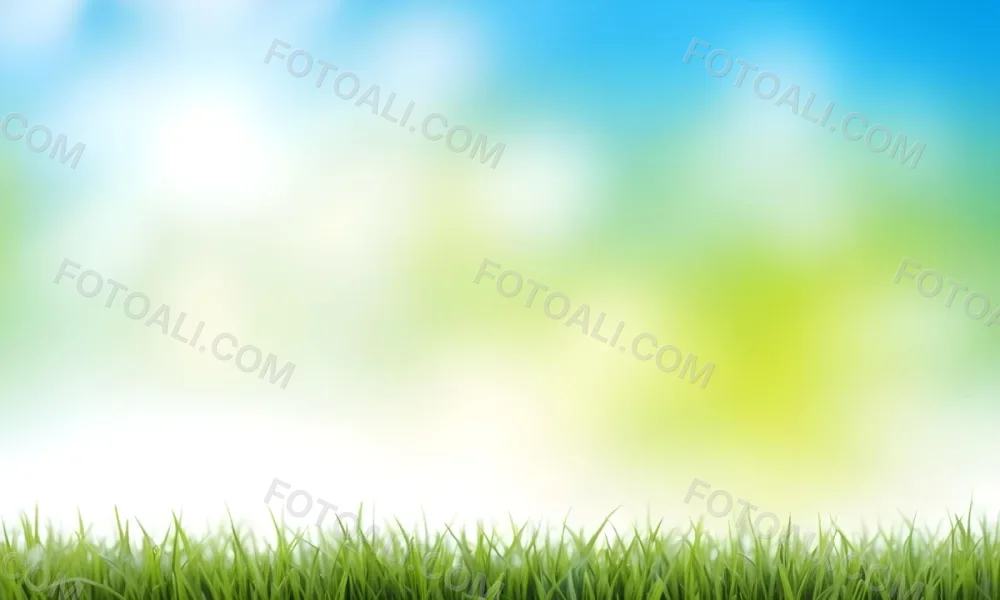 Green Grass With Blurred Blue Sky And White Clouds In The Background 13 3cac