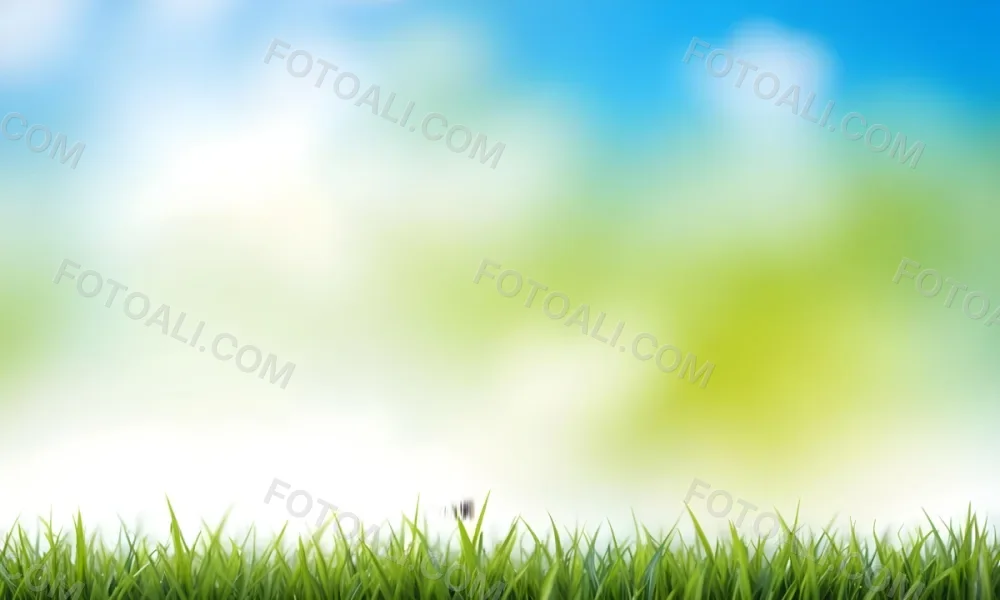 Green Grass With Blurred Blue Sky And White Clouds In The Background 15 54ce