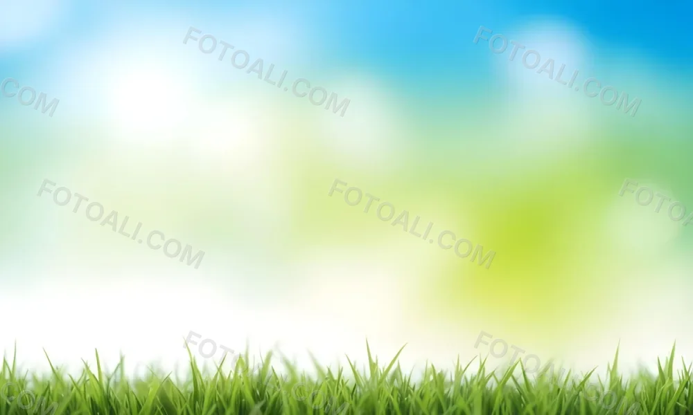 Green Grass With Blurred Blue Sky And White Clouds In The Background 24 Ecf7