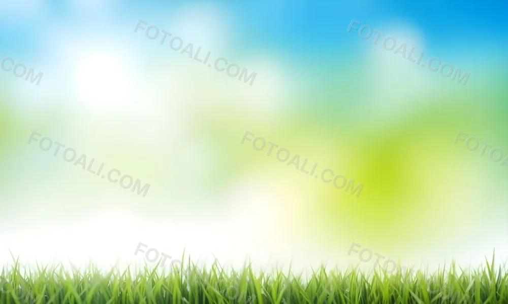 Green Grass With Blurred Blue Sky And White Clouds In The Background 3 16df
