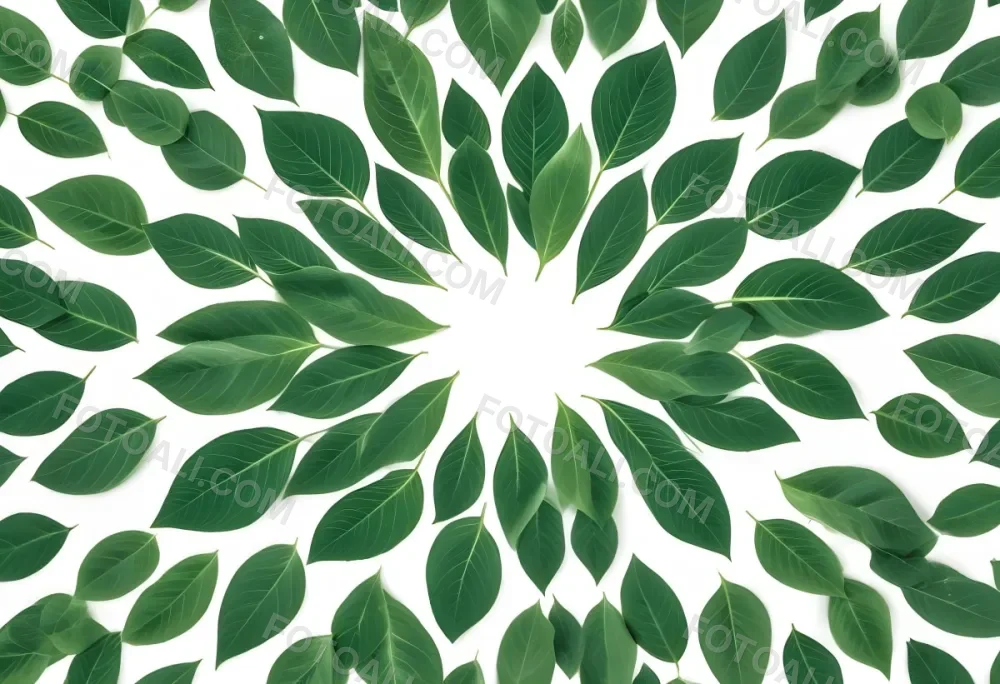 Green Leaves Close Up View Of Various Shapes And Sizes Of Fresh Vibrant Green Leaves Against A White Background 37 7392