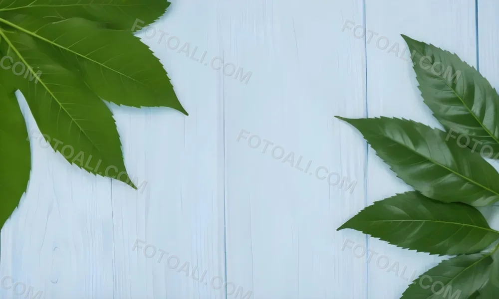 Green Leaves On A Light Blue Wooden Surface The Leaves Are Arranged In The Corners Of The Image The Background Is A Light Blue Color 10 Ee6d