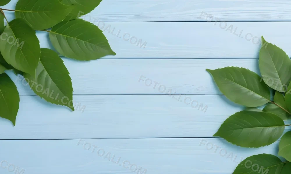 Green Leaves On A Light Blue Wooden Surface The Leaves Are Arranged In The Corners Of The Image The Background Is A Light Blue Color 2 B8af