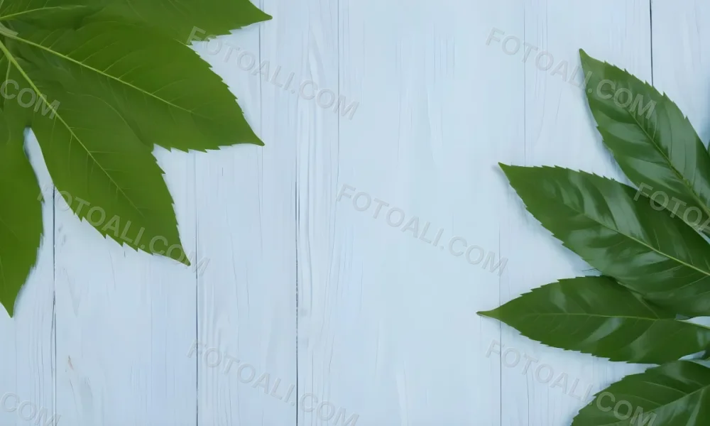 Green Leaves On A Light Blue Wooden Surface The Leaves Are Arranged In The Corners Of The Image The Background Is A Light Blue Color 3 D0aa