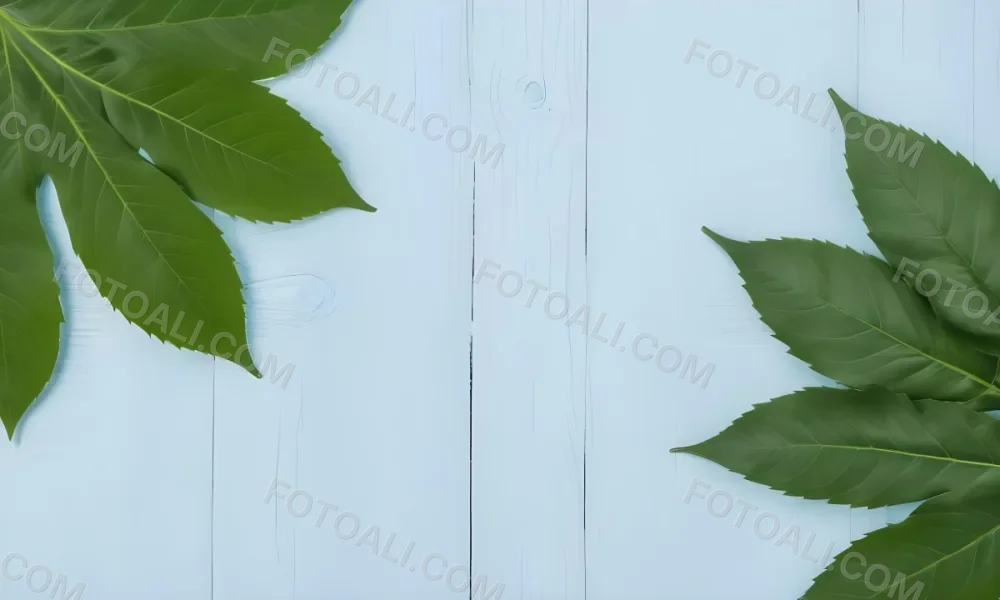 Green Leaves On A Light Blue Wooden Surface The Leaves Are Arranged In The Corners Of The Image The Background Is A Light Blue Color 5 A646