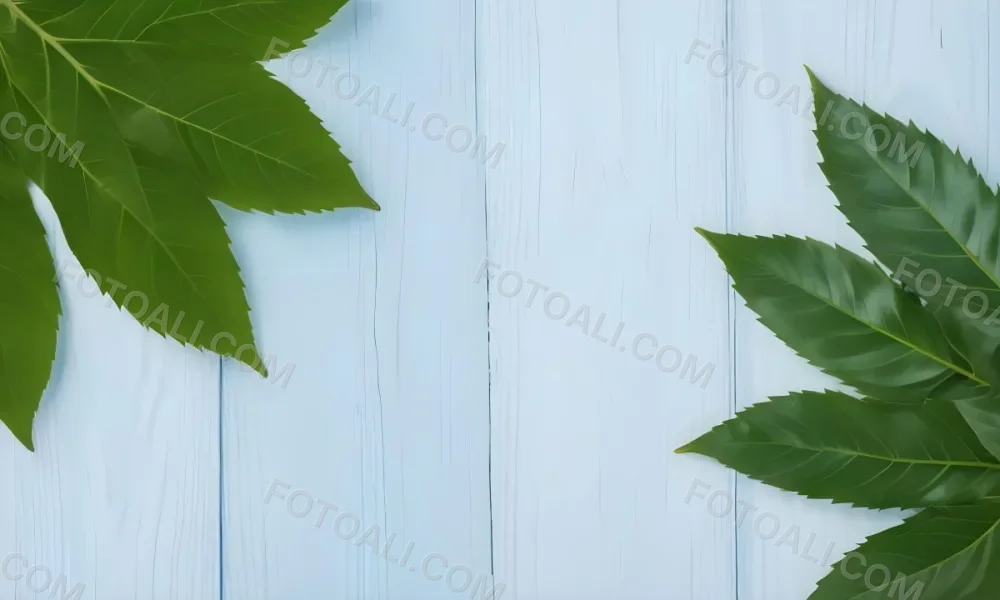 Green Leaves On A Light Blue Wooden Surface The Leaves Are Arranged In The Corners Of The Image The Background Is A Light Blue Color 6 F6fe
