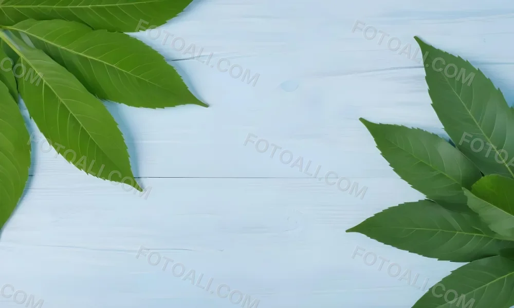 Green Leaves On A Light Blue Wooden Surface The Leaves Are Arranged In The Corners Of The Image The Background Is A Light Blue Color 8 9650