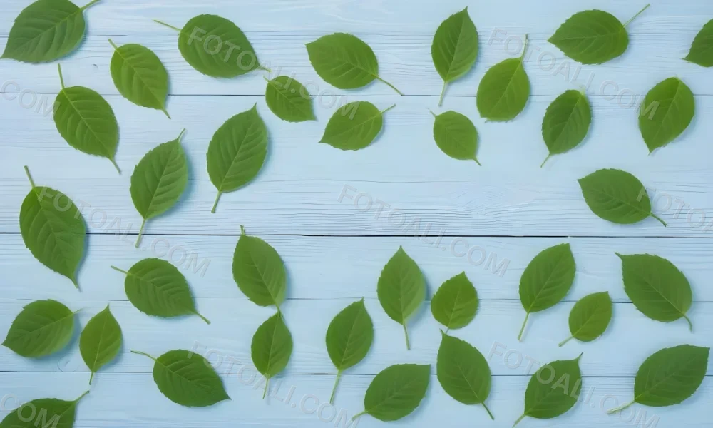Green Leaves On A Light Blue Wooden Surface The Leaves Are Arranged In The Corners Of The Image The Background Is A Light Blue Color 9 9af3