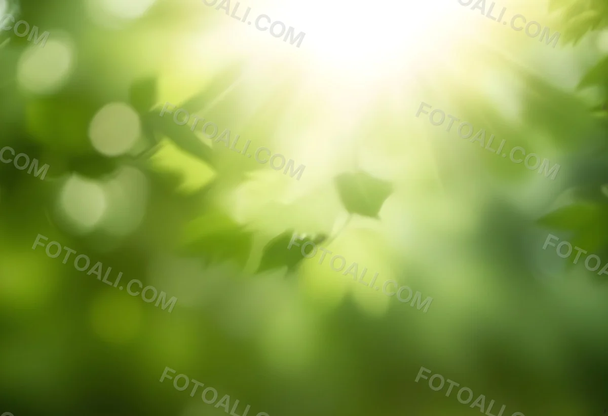 Green Leaves With Sunlight Shining Through Blurred Background 36 36eb