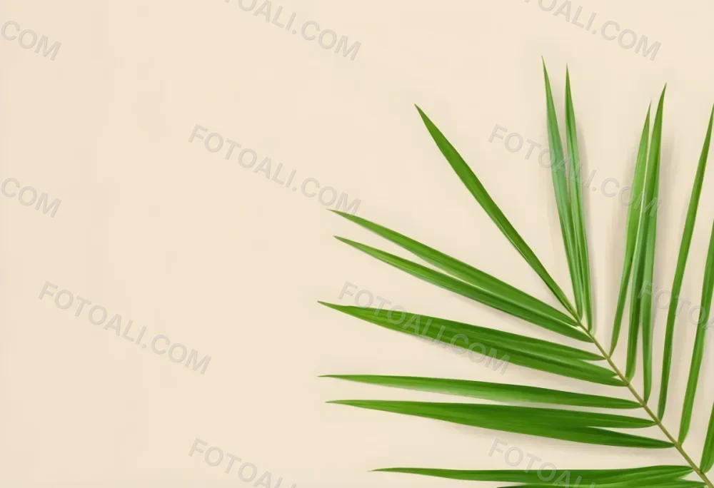 Green Palm Leaf On A Beige Background Minimalist Style Bright And Clean Simple Composition Natural Light Tropical Vibe Fresh And Vibrant Botanical Theme 17 D284