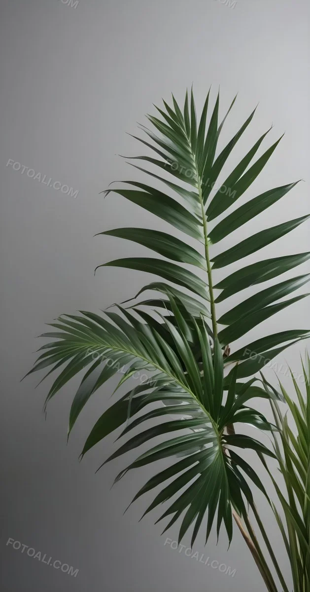 Green Palm Leaves Against A Gray Background 1 1c8a