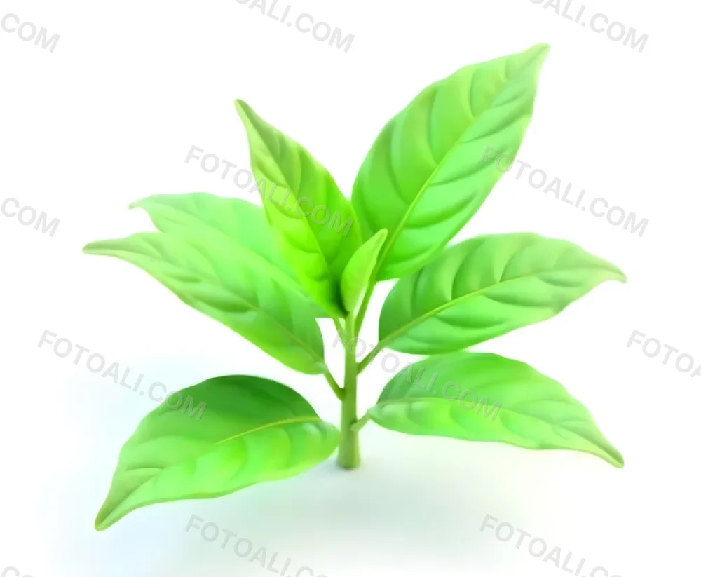 Green Tea Leaves With A Stem Isolated On A White Background Showcasing The Vibrant Color And Texture Of The Plant 11 3d5b