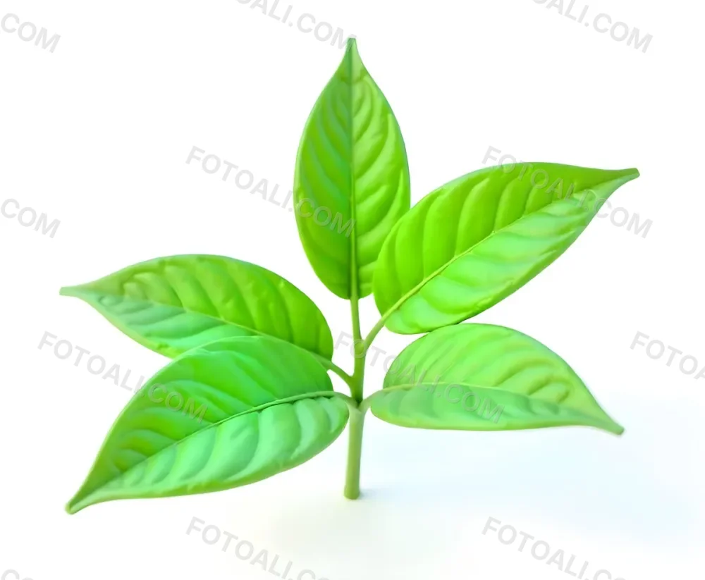 Green Tea Leaves With A Stem Isolated On A White Background Showcasing The Vibrant Color And Texture Of The Plant 9 877c