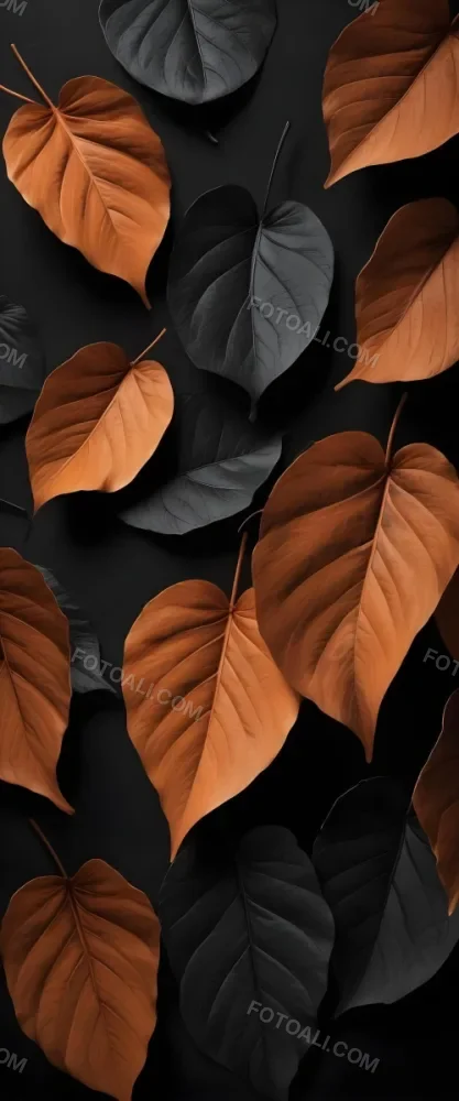 Minimal Soft Studio Light Photography A Composition Of Large Stylized Leaves In Shades Of Black And Orange Arranged Against A Dark Textured Background The Leaves Have A Smooth Glossy Appearance With Intricate Vein 1 C275