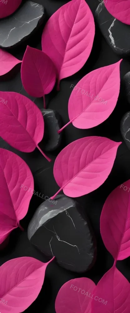 Minimal Soft Studio Light Photography Bright Pink Leaves With Prominent Veins Arranged Over A Textured Black Background Resembling Stones High Detail Solid Bold Color Background 6 6777
